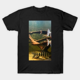 fish in the water T-Shirt